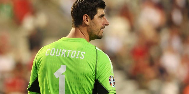Thibaut Courtois looks on