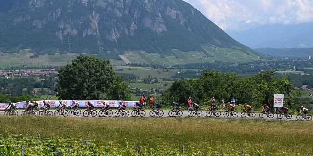 General view of cyclists during race