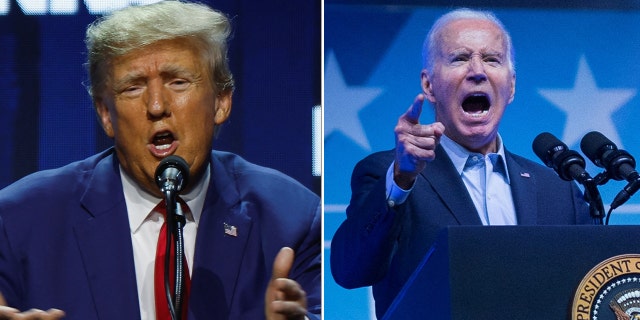 Donald Trump and Joe Biden