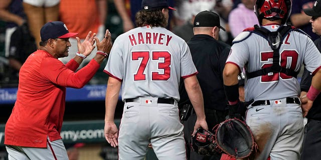 Dave Martinez argues
