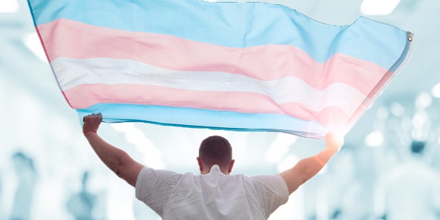 Detransitioned flag gender identity