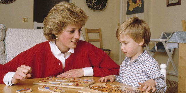 Princess Diana And Prince William