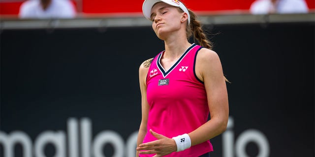 Elena Rybakina reacts