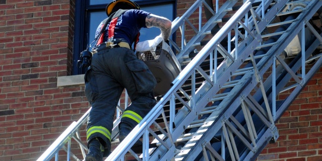 A Davenport firefighter brings down a pet