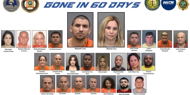 Operation Gone in 60 Days suspects