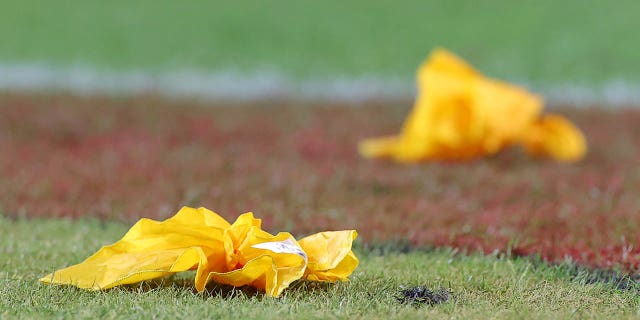 flag on the field