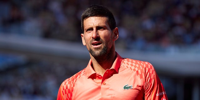 Novak Djokovic looks on during match