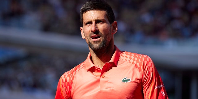 Novak Djokovic looks on during match
