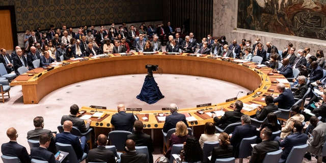 UN security council