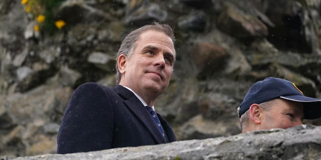 Hunter Biden in Ireland