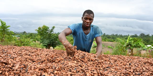 Africa farming Ai