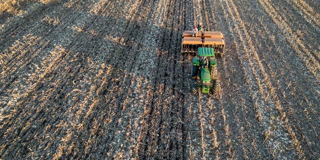 Los investigadores están utilizando inteligencia artificial para predecir cultivos en África para ayudar a abordar la crisis alimentaria. 6 Cultivo de inteligencia artificial