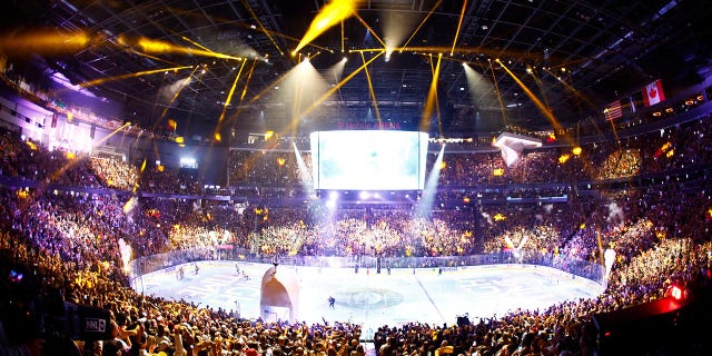 Vegas Golden Knights fans