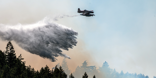 water bombs for wildfire