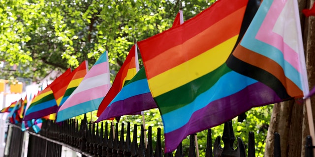 Neue Pride-Flagge.