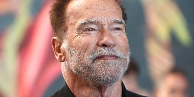 close up of Arnold Schwarzenegger with a beard.