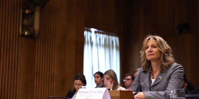 Beth Van Schaack sat before the Senate Foreign Relations Committee