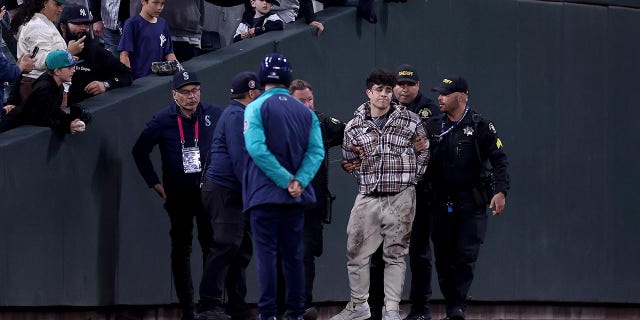 Fan is arrested at T-Mobile Park