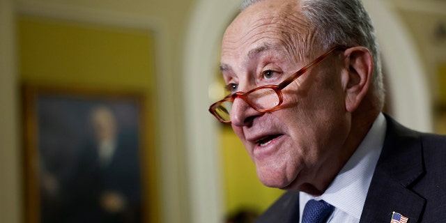 Chuck Schumer talking