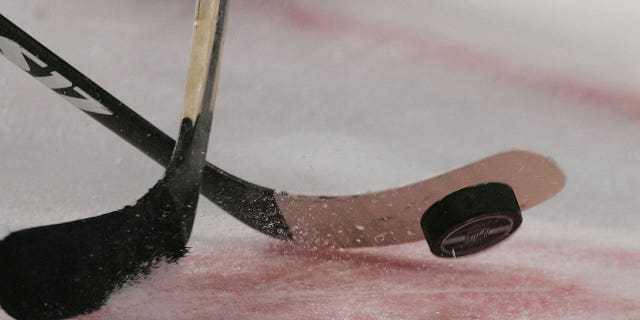 Players face off during an NHL game