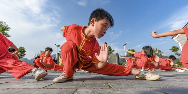 China martial artis