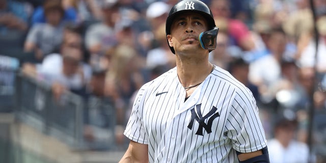 Giancarlo Stanton looks up