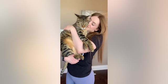 Dexter the giant cat