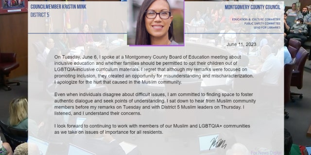 Kristin Mink Democrat statement apology
