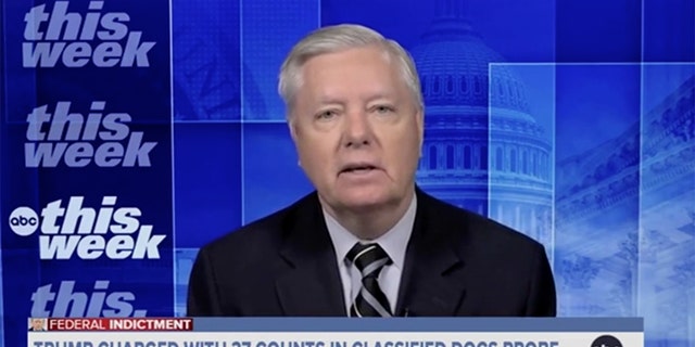 Sen. Lindsey Graham Clashes With ABC Host Over Trump Indictment: 'Let ...