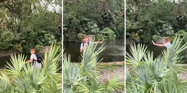 Three video still shots of the man who jumped into the Busch Gardens Tampa Bay alligator enclosure. He moved around the space.
