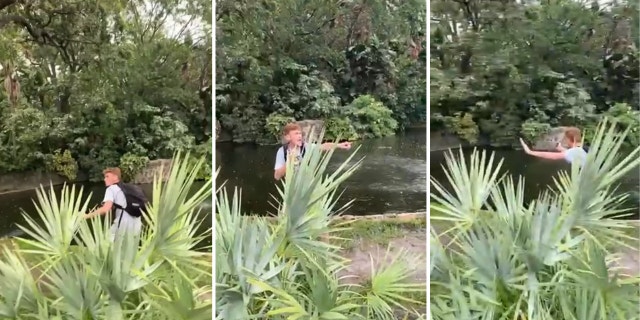 Man jumps into Busch Gardens' alligator exhibit in Florida: See the video |  Fox News