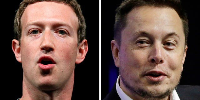 Mark Zuckerberg and Elon Musk