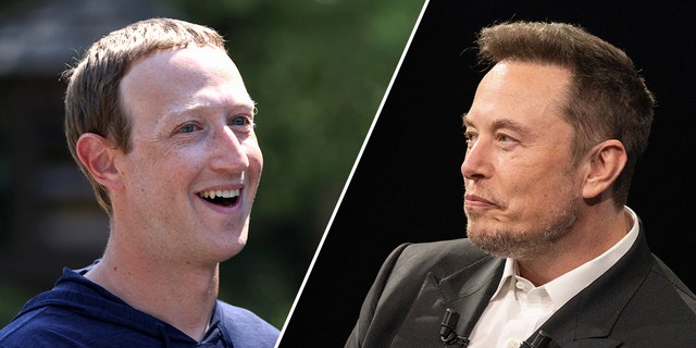 Cage Fight Between Elon Musk And Mark Zuckerberg