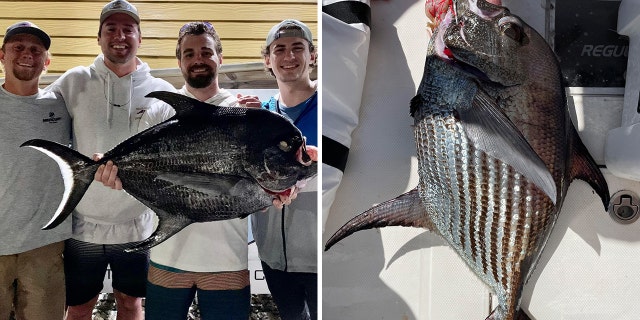 NC angler split
