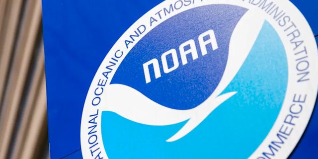 NOAA navy and sky blue logo and white bird in circle