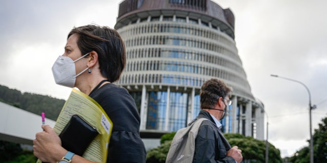 Masked people outside New Zealand Parliament