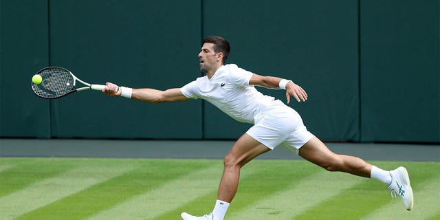 Novak Djokovic reaches for shot