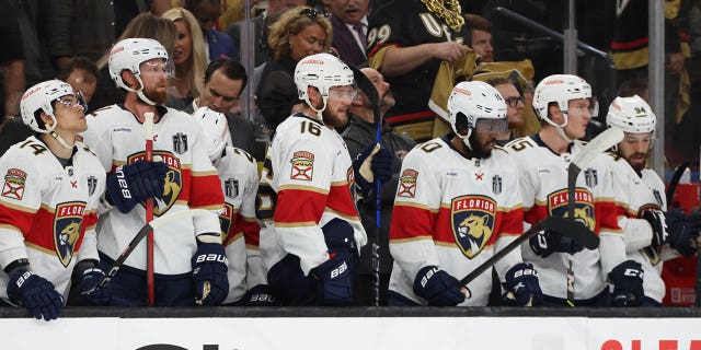Panthers players on the bench