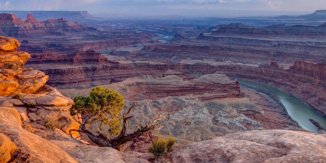 Goose Neck of Colorado River