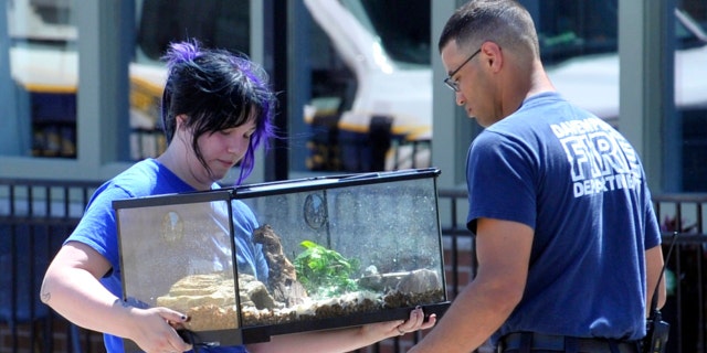 A Davenport firefighter hands over a terrarium to Scott County Humane personnel