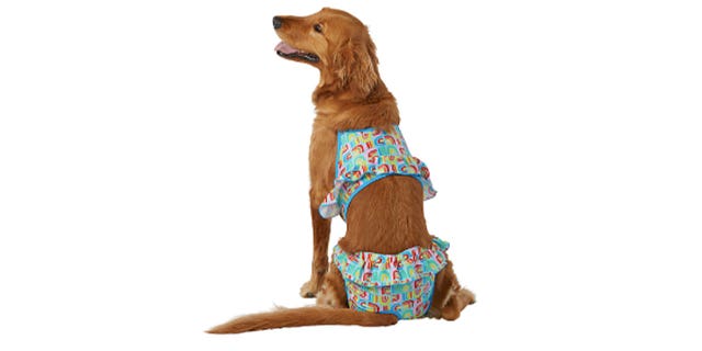 Pet Smart Pride bikini