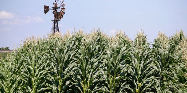 Agricultural giant