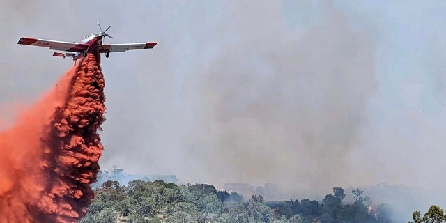 A plane drops retardant on the Spring Creek Fire