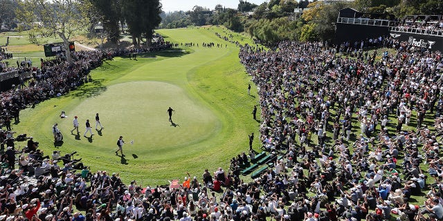 Overview of Riviera
