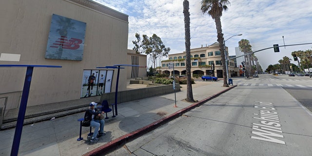 A person sits at a bus stop in Santa Monica on a street lined with palm trees