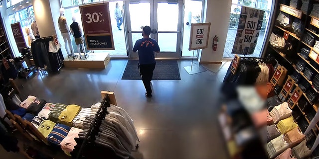 Surveillance Video still image from store