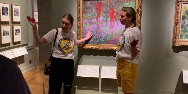 Manifestantes ambientales suecos pegan sus manos a un dibujo de Monet y untan la pintura para protestar contra el cambio climático: video 4 Restauración de un cuadro de Monet de un humedal