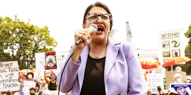 Rep. Rashida Tlaib