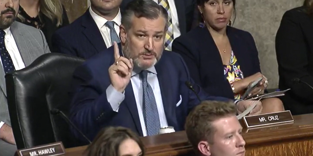 Ted Cruz speaks at a hearing