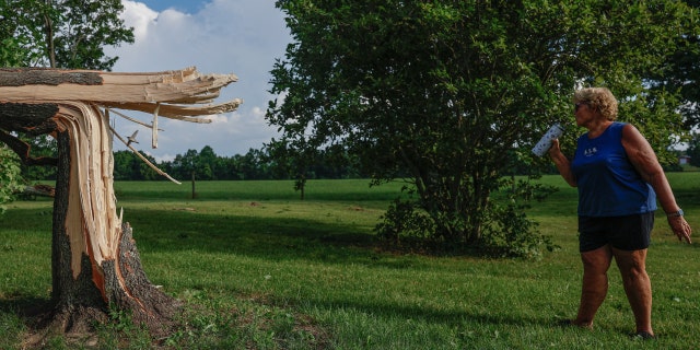 A woman looks at a tree damaged by a tornado in Indiana